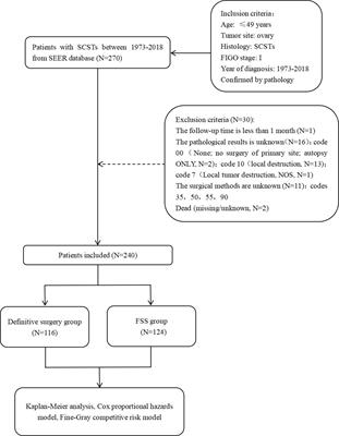 Could fertility-sparing surgery be considered for stage I ovarian sex cord-stromal tumors? A comparison of the Fine-Gray model with Cox model